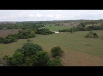 Imagem 1 · Fazenda