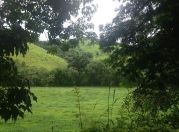 Imagem 1 · Fazenda