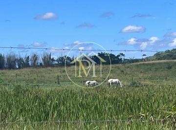 Imagem 1 · Fazenda