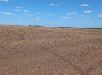 Imagem 1 · Fazenda