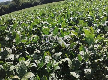 Imagem 1 · Fazenda