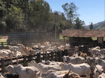 Imagem 1 · Fazenda