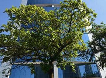 Comercial · 192m² · Conj. Comercial, Brooklin Novo - São Paulo