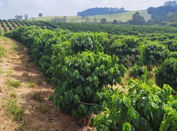 Imagem 1 · Fazenda