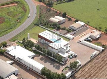 CENTRO DE DISTRIBUIÇÃO - COMERCIAL - FRIGORÍFICO A VENDA - ARAPONGAS · CENTRO DE DISTRIBUIÇÃO - COMERCIAL - FRIGORÍFICO A VENDA - ARAPONGAS