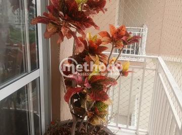 1001252789.jpg · Apartamento à venda, Jardim Monte Verde, Valinhos, SP