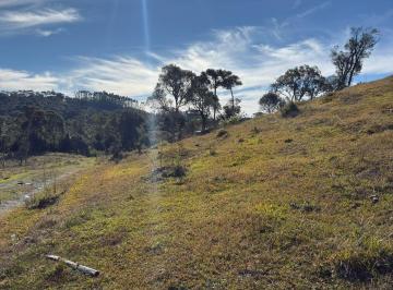 Rural · 60000m² · Área à venda no bairro Interior - Bom Retiro/SC