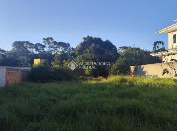Terreno · 450m² · Terreno à venda - em São João do Rio Vermelho