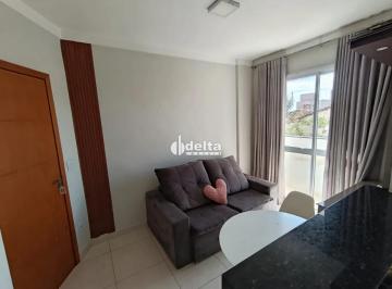 Apartamento · 50m² · 2 Quartos · 1 Vaga · Apartamento com 2 quartos disponível para Locação no bairro Segismundo Pereira em Uberlândia-MG