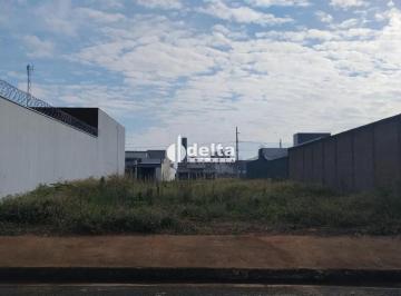 Terreno · 300m² · Terreno disponível para venda no bairro Novo Mundo em Uberlândia-MG