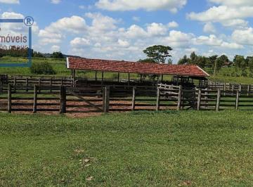 7e24e85e9b1c56ebc81f362e14618a45562e6ed1 · Fazenda . Para pecuária formada .