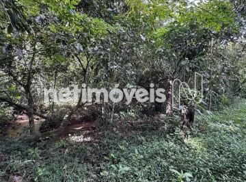 eec16daa-90c7-47a8-9fa4-4361acc9fe51.webp · JARDIM BOTÂNICO | SÃO SABASTIÃO | LOTE | ACESSO AO RIO SÃO BARTOLOMEU