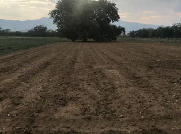 Terreno , Ibiúna · A 1 km do Asfalto