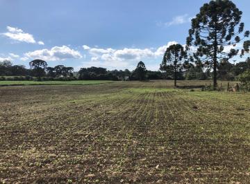 Rural · 19400m² · Terreno Industrial Comercial 19.400m em Almirante Tamandaré Excelente Investimento