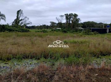 19f9993500d9287324e7ad444d632c379a188b73 · Terreno à venda, 434 m² por R$ 250.000,00 - Coroados - Guaratuba/PR