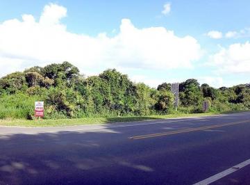 0a1397f20009f5a28e998b97c4697b705f935342 · Terreno à venda, 810 m² por R$ 650.000,00 - Eliana - Guaratuba/PR