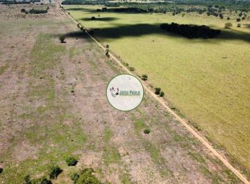 Rural , Barra do Garças · Arrendamento agricola em Barra do Garças-MT - 1.000 Hectares
