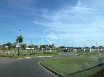 Florais.jpg · Oportunidade Sol da Manhã