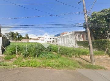0 · terreno à venda em Nova Campinas