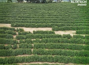 Imagem 1 · Fazenda para venda em Bandeira do Sul