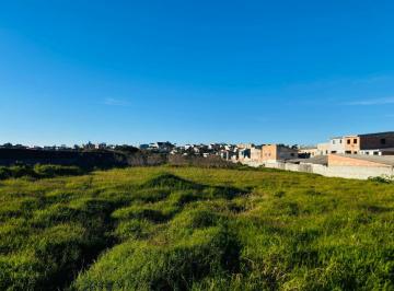Terreno , Curitiba · EXCELENTE ÁREA NO NOVO MUNDO - PREÇO PROMOCIONAL COM 12.000 m2.