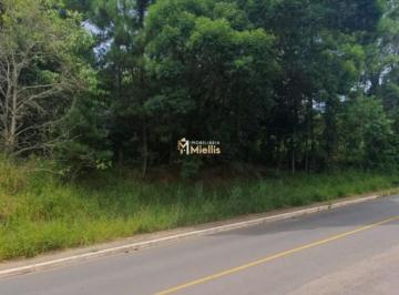 29312897_g.jpg ·
TERRENO PRÓXIMO AO LAGO TARUMÃ - VIAMÃO - RS