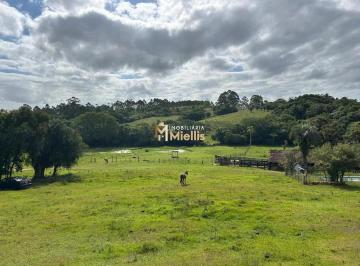 Rural · 226000m² · 3 Quartos · Sítio com 22 hectares na Estrada da Braquinha