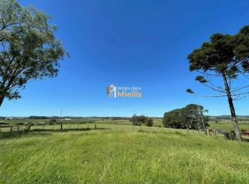 Rural · 900454m² · 90 Hectares de frente para o asfalto em Viamão