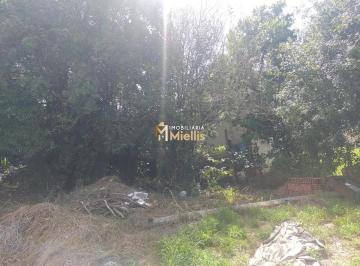 Terreno · Terreno à venda - em Tarumã