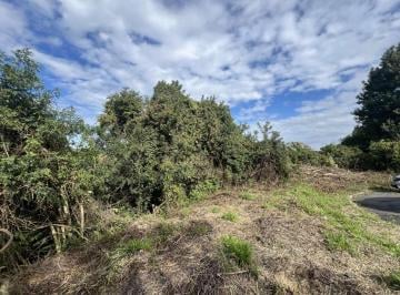 202605221523563483.jpeg · Terreno para Venda em São José dos Pinhais, Aristocrata