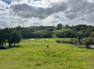 Rural · 226000m² · 3 Quartos · Sítio com 22 hectares na Estrada da Braquinha