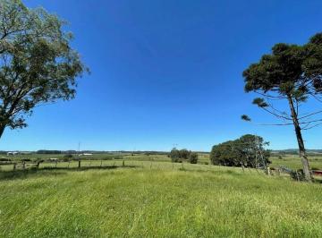 Rural · 900454m² · 90 Hectares de frente para o asfalto em Viamão
