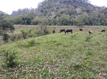 Imagem 1 · Sítio para venda em Centro, Ituporanga