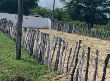 Rural · 3 Quartos · 5 Vagas · Fazenda em São Tomé - Fazenda/ Fazenda à venda em São Tomé – 38,5 hectares de oportunidade e qualida