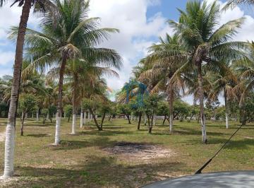 Rural · 15532m² · Sítio / Sítio em Pium / área em pium - Parnamirim/ Fazenda em Pium