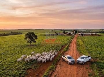 Potencial produtivo emoldurado pela beleza do Mato Grosso. Topografia amplamente favorável ao desenvolvimento da atividade agropecuária. · Fazenda de 3.085 ha perto de Cuiabá | Dupla Aptidão à Venda