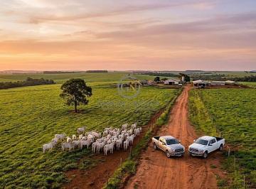 Potencial produtivo emoldurado pela beleza do Mato Grosso. Topografia amplamente favorável ao desenvolvimento da atividade agropecuária. · Fazenda de 3.085 ha perto de Cuiabá | Dupla Aptidão à Venda