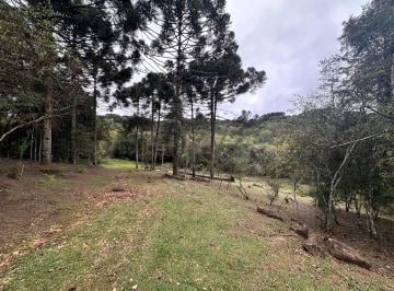 Terreno , Colombo · TERRENO COM 20.000m² próximo a Estrada da Ribeira e Clube Santa Mônica.