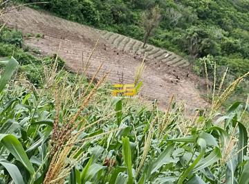 Rural · 19m² · FAZENDA A VENDA COM 19.5 HECTARES EM DISTRITO DO TABULEIRO BANANEIRAS-PB