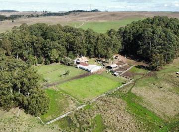 Rural · 74m² · Fazenda com lavoura a 2 km do asfalto!!