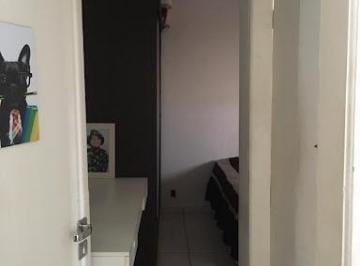 24943824f36d3a5751f22e8062011dc7a8324127 · Casa com 1 dormitório à venda, 58 m² por R$ 250.000,00 - Vila Nove de Julho - Bauru/SP
