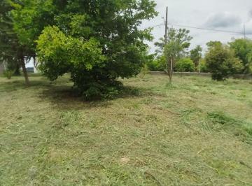 Terreno , Guararema · Terreno 1600m Plano cercado Parque Agrinco - Guararema - SP