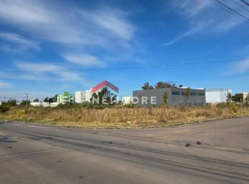 Lote em Avenida Vereadora Geni Petteffi - São Virgílio - Caxias do Sul/RS
Terre · Lote em Avenida Vereadora Geni Petteffi - São Virgílio - Caxias do Sul/RS