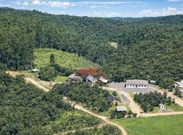 Vias internas planejadas para suportar o tráfego de maquinários pesados e caminhões truque durante o período de colheita. · Fazenda de Pinus à Venda em SC | 527 ha em Grão-Pará