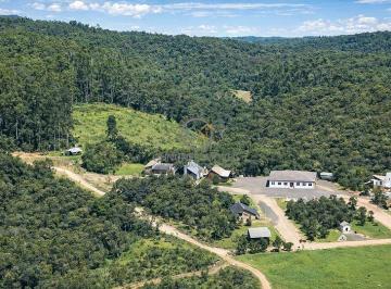 Vias internas planejadas para suportar o tráfego de maquinários pesados e caminhões truque durante o período de colheita. · Fazenda de Pinus à Venda em SC | 527 ha em Grão-Pará