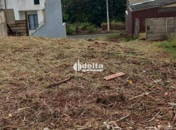 Terreno · 250m² · Terreno disponível para venda no bairro Pacaembu em Uberlândia-MG