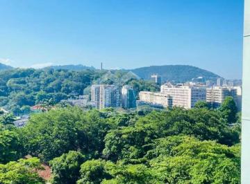 Apartamento · 40m² · 1 Quarto · Apartamento : Padrão / Residencial / Botafogo