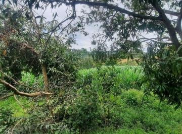 Rural de 2 quartos, Santo Antônio do Descoberto · Oportunidade - fazenda extremamente aconchegante - Santo Antônio do Descoberto