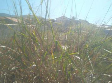 Terreno , Saquarema · Terreno a venda em Jaconé - Saquarema