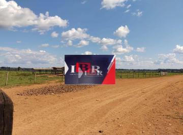 1908f9e19cfaa345b09f94b59f02798e04afced6 · Fazenda em Cocalinho - MT